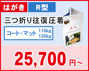 はがき R型 三つ折り往復圧着 25,700円〜