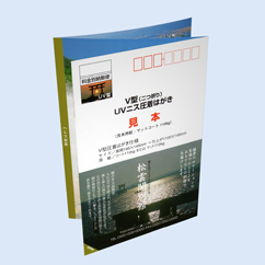 東京食品販売国民健康保険組合様Z折り圧着はがき