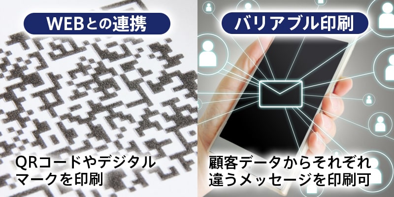 今後のDM（ダイレクトメール）施策